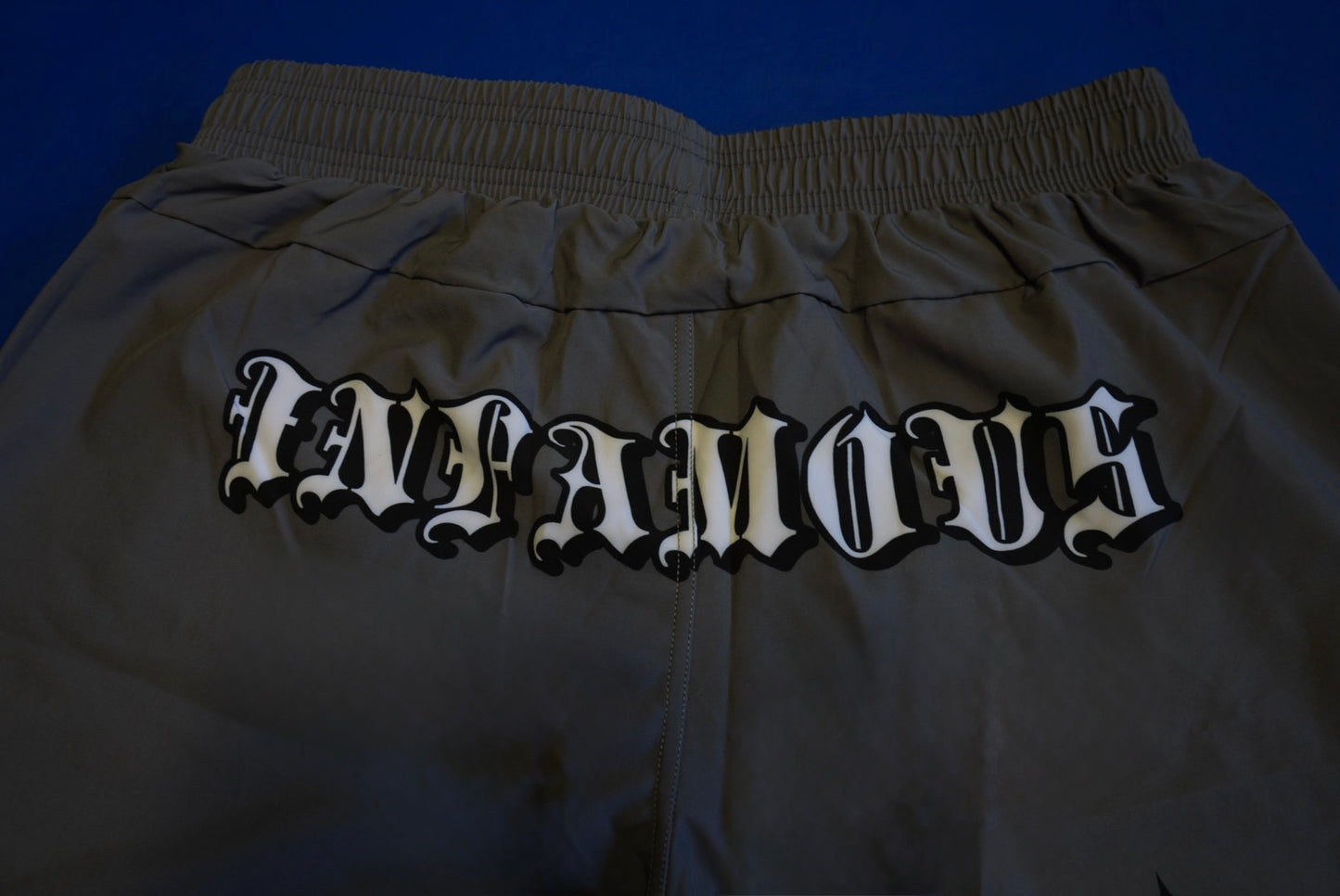 Infamous Grappling Grey Shorts