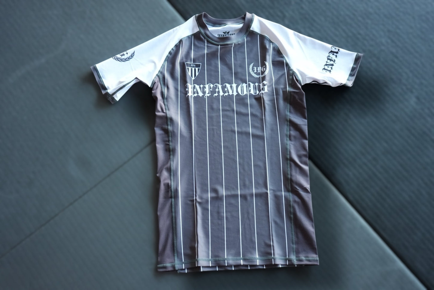 Infamous Grappling Striped Rashguard